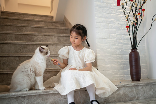The Family Life of Little Girls and Puppet Cats