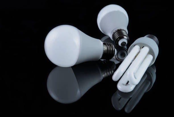 istock Energy-saving light bulbs of different shapes on a black background 1496421460