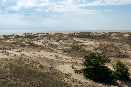 View of Staroderevenskaya dune from the height of Efa (Walnut Dune) and the Baltic Sea in the background on a sunny summer day, Curonian Spit, Kaliningrad region, Russia