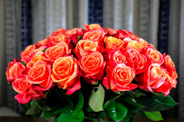 Many roses create a large bouquet that can be used as a background