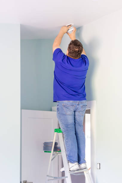 istock A person on a ladder is installing a smoke detector 1496430068