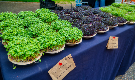 a tray full of edible micro-greens at the farmer's maket