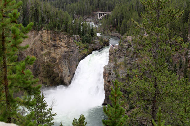 Color photograph of the famous waterfall Upper Falls in the Yellowstone National Park near Mammoth, Wyoming in the summer.