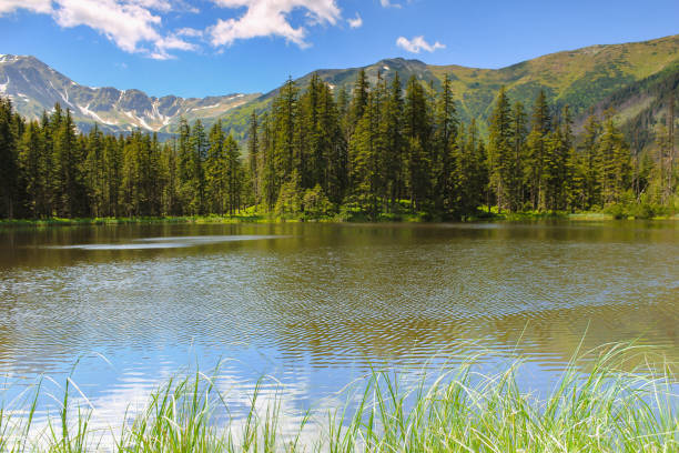istock Mountains. Tatra National Park. Carpathians. Landscape, Nature 1496434945