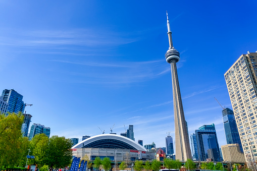 Toronto, Canada - May 13, 2023: The iconic CN Tower in a low-angle view, framed by trees in the foreground. A vibrant cityscape of modern buildings and skyscrapers forms the backdrop under a clear blue sky.