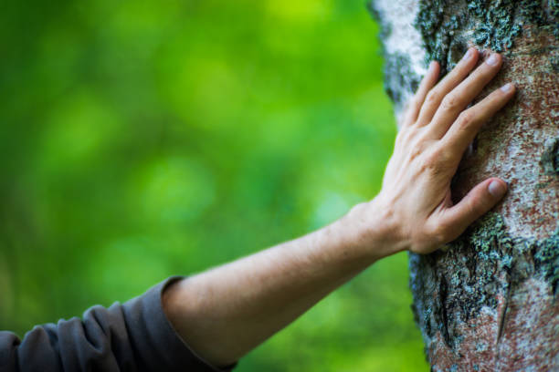 istock A man's hand touch the tree trunk close-up. Bark wood.Caring for the environment. The ecology concept of saving the world and love nature by human 1496435420