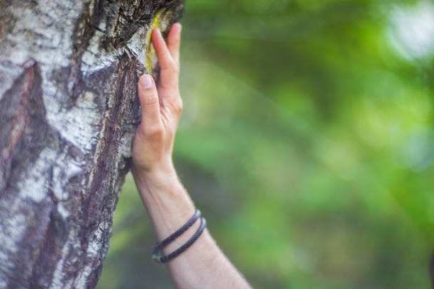 istock A man's hand touch the tree trunk close-up. Bark wood.Caring for the environment. The ecology concept of saving the world and love nature by human 1496435544