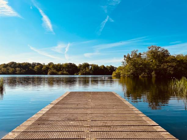 istock Pier over a lake against blue sky 1496437695