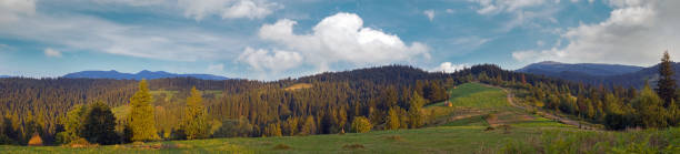 istock Summer panorama view on mountainous green pasture meadow  (Slavske village, Carpathian Mts, Ukraine). 1496439405