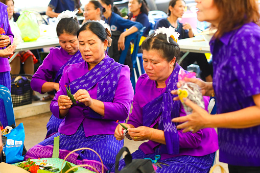 Purple dressed mature thai women are making packages with banana caramel in green leaves at Public local traditional culture event organized by local government near historical grounds of Wat Wihan Thong Historical Site near Nan river and is local way of keeping history and traditions alive. Women are dressed in traditional clothing with scarfs