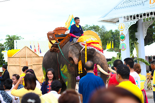 Crowd of thai people and elephant at Public local traditional culture event organized by local government near historical grounds of Wat Wihan Thong Historical Site near Nan river and is local way of keeping history and traditions alive. Event is about culture and banana and thai food
