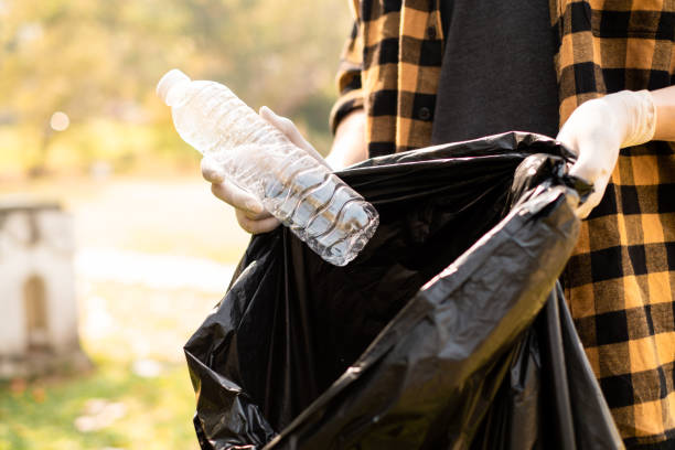 istock Closeup image of a hand picking up trash on World Environment Day,  showcasing our dedication to cleaning and protecting our planet. 1496447310