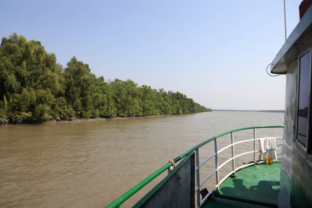 this photo was taken from sundarbans national park,Bangladesh.