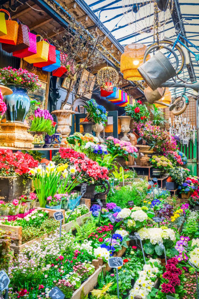 istock Paris flower market 1496448437