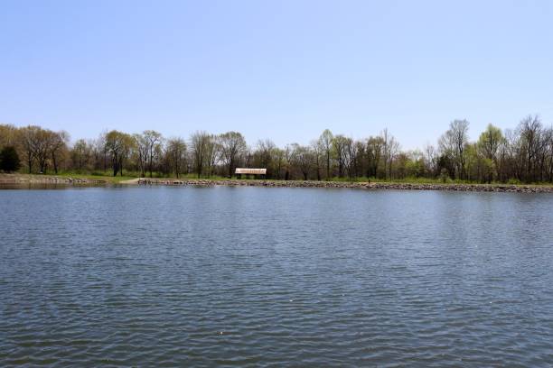 istock Peaceful Lake in the Park 1496448747