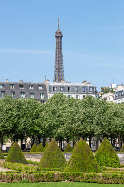 istock Eiffel tower, buildings and park in Paris 1496451659