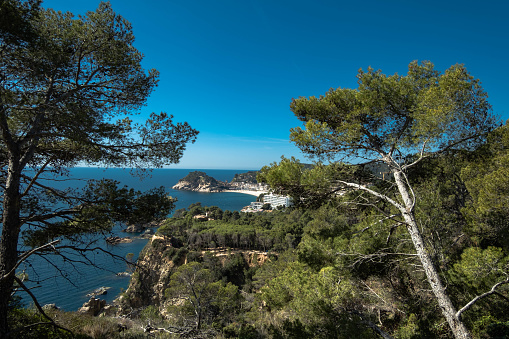 Discover the Costa Brava in all its splendor: imposing cliffs, turquoise waters, and pristine beaches. Capture the serenity of this coastal paradise and let yourself be carried away by the magic of the sea.