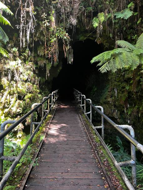 istock Hawaiian Lava Tube 1496454862