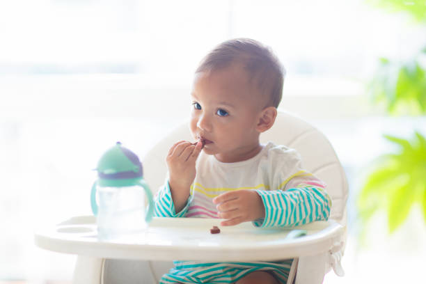 istock Baby eating solid foods in high chair. 1496465976
