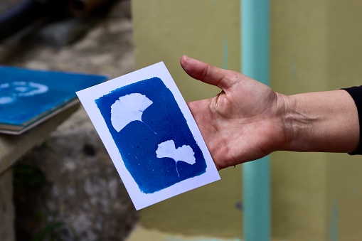 A woman displays a recently produced cyanotype print.
