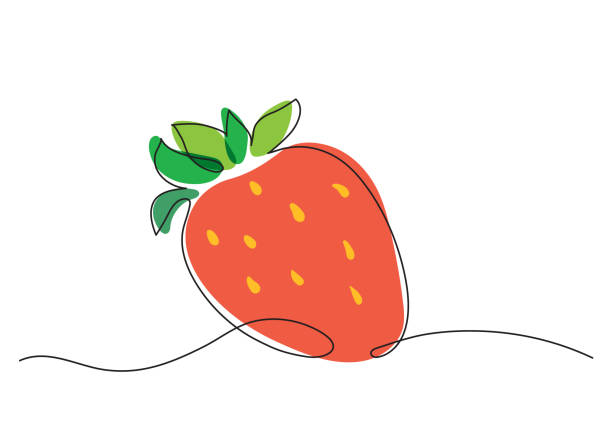 Strawberry in decorative minimalist style Digital clip art of strawberries with one line and spot in vector for design and decoration chandler strawberry stock illustrations