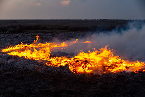 Cedar Island forest bush fire at dusk