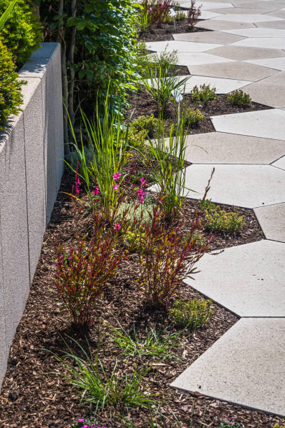 istock Path with large stone slabs through a beautifully planted garden 1496468324