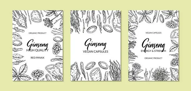 Vector illustration of Ginseng vertical design. Hand drawn botanical vector illustration in sketch style. Can be used for packaging, label, badge. Herbal medicine background