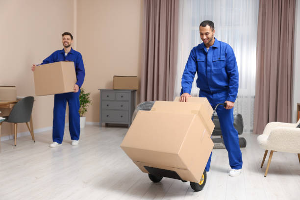 Male movers with cardboard boxes in new house stock photo