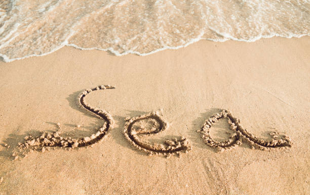 istock See you by the sea. 1496475914