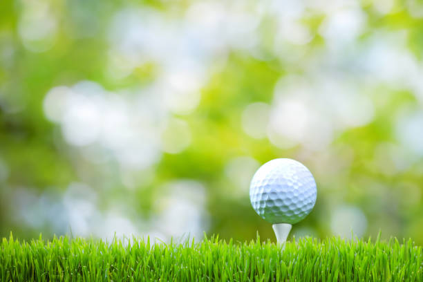 istock Golf ball on green grass playing field 1496476023