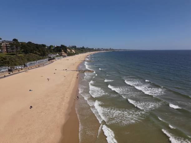 istock Aerial view of beach with breaking waves and sand 1496477655