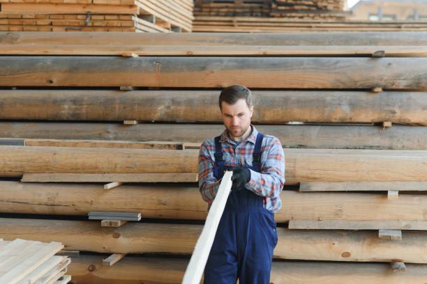 istock Timber harvesting for construction. Carpenter stacks boards. Industrial background. Authentic workflow 1496478783