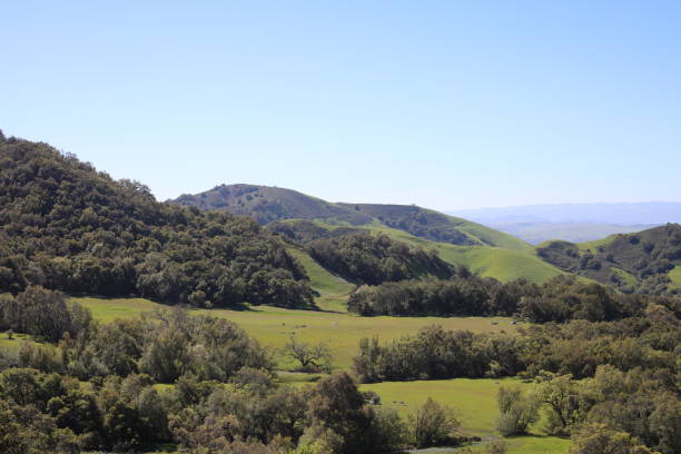 istock California Mountains Wine Country 1496479358