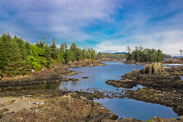 istock Pacific Coast of Vancouver Island 1496479405