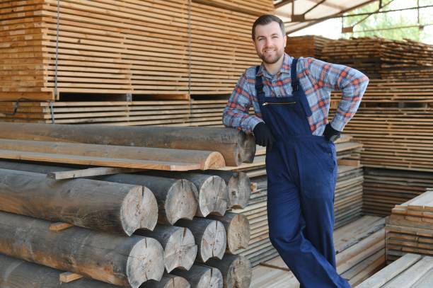 istock Carpenter in uniform check boards on sawmill 1496479693