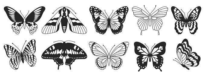 Butterfly third set of black and white wings in the style of wavy lines and organic shapes. Y2k aesthetic, tattoo silhouette, hand drawn stickers. Vector graphic in trendy retro 2000s style.