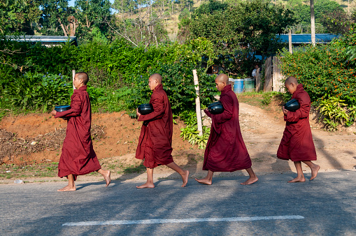Kalaw, Myanmar- nov 8, 2012 : in the early hours of the day young Buddhist monks collect the rice offer from the peasants