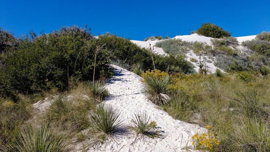 Trail Along the Edge of a Dune at White Sands National Park