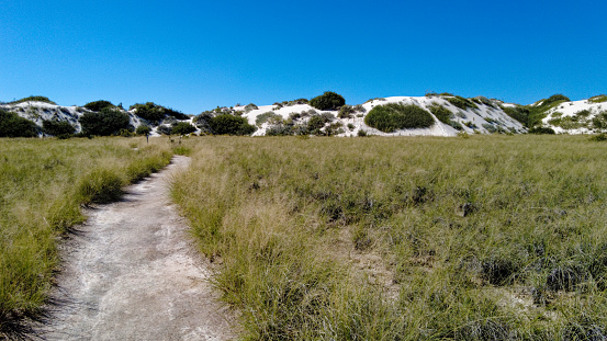 A Trail Leading to a Dune in White Sands National Park