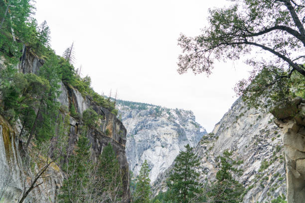 Summer view of Big Oak Flat Road in Yosemite National Park.
