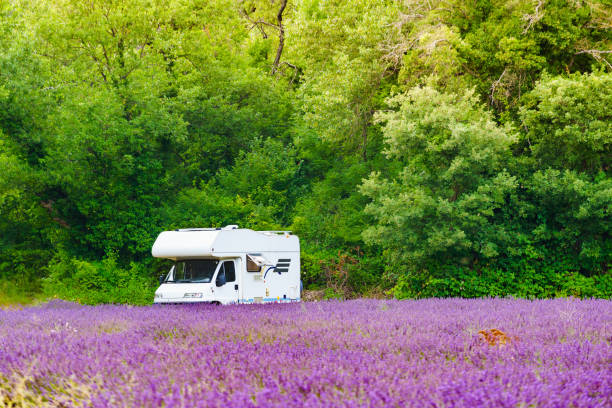 istock Caravan camping at lavender field, France 1496494713