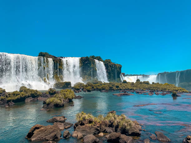 водопады фос-ду-игуасу - tropical rainforest tropical climate waterfall landscape стоковые фото и изображения