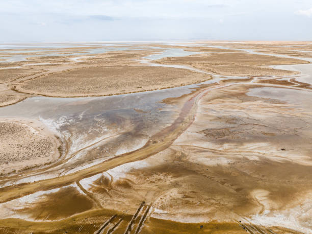 istock Natural shapes and textures on lake 1496496660