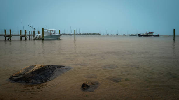 paisagem marítima tranquila na marina em noank em connecticut, a maré saindo revelando as rochas costeiras na água - tide going out - fotografias e filmes do acervo