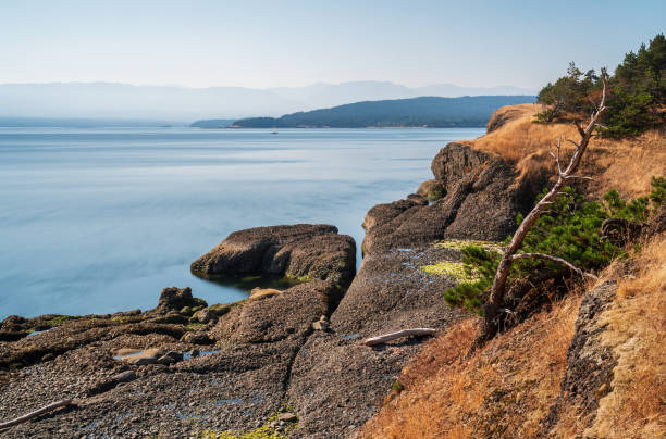 istock Helliwell Provincial Park Hornby Island BC 1496505259