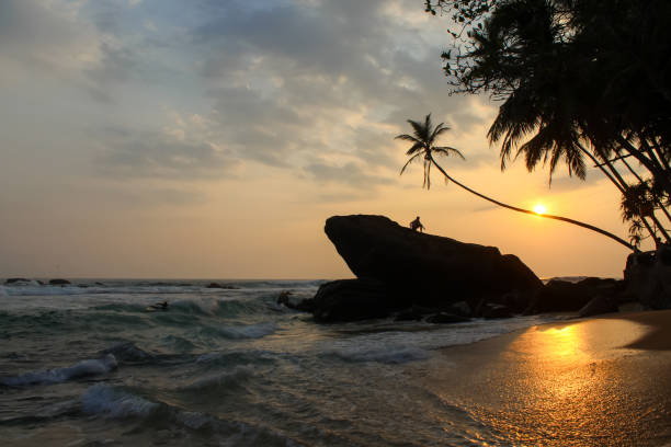 ダラウェラビーチのスリランカの夕日、美しい夕日の空、岩、ヤシの木 - asia forest sri lanka rock ストックフォトと画像