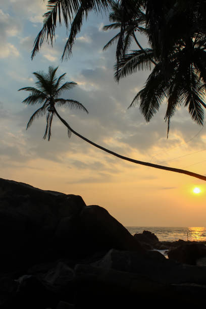 夕暮れに囲まれたビーチと船の岩。ダラウェラビーチ、スリランカ、縦の画像 - asia forest sri lanka rock ストックフォトと画像