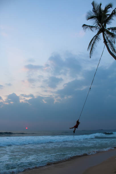 スリランカの熱帯の島のビーチでロープで揺れるのを楽しむ若い女性 - asia forest sri lanka rock ストックフォトと画像