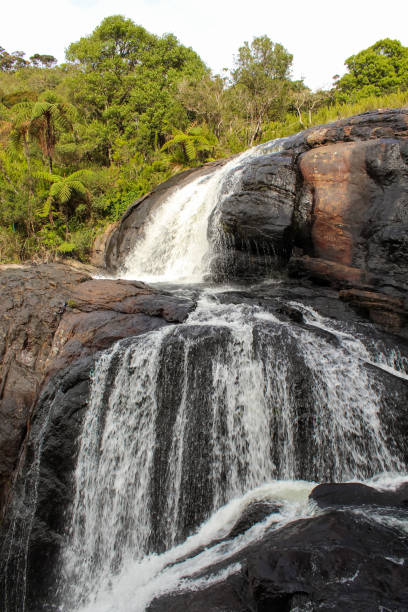 istock Bakers falls. Horton plains national park. Sri Lanka. Vertical background image 1496506488